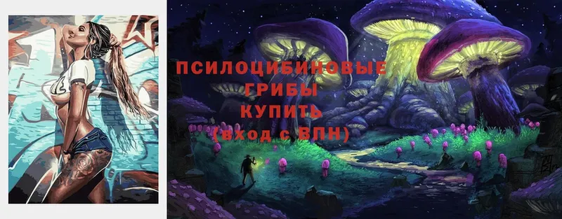 Галлюциногенные грибы Cubensis  где купить   Бугуруслан 